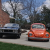 DSC 0275 - mustang and the beetle