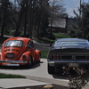DSC 0315 - mustang and the beetle