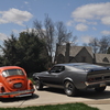 DSC 0316 - mustang and the beetle
