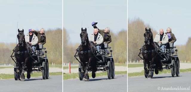 petje af1 balingehofforum