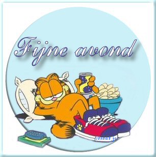 fijne avond+garfield+chips - 