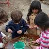 natural play - Long Island preschool