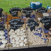 ParkPresikhaafmarkt (8) - Presikhaafmarkt april '15