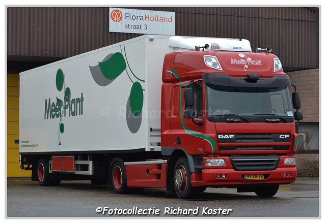 Meer Plant BT-XB-69 (0)-BorderMaker Richard