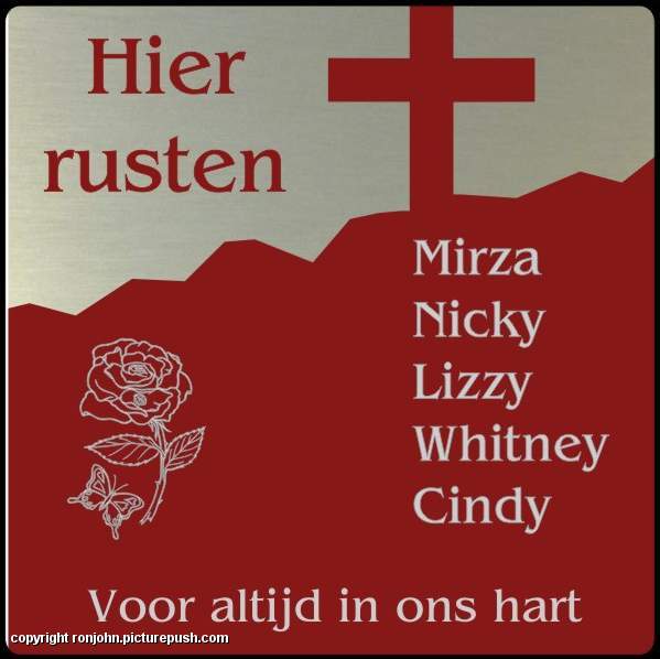 De as van de andere in het grafje bijgezet 01-05-1 R.I.P. Mirza Nicky Lizzy Whitney Cindy