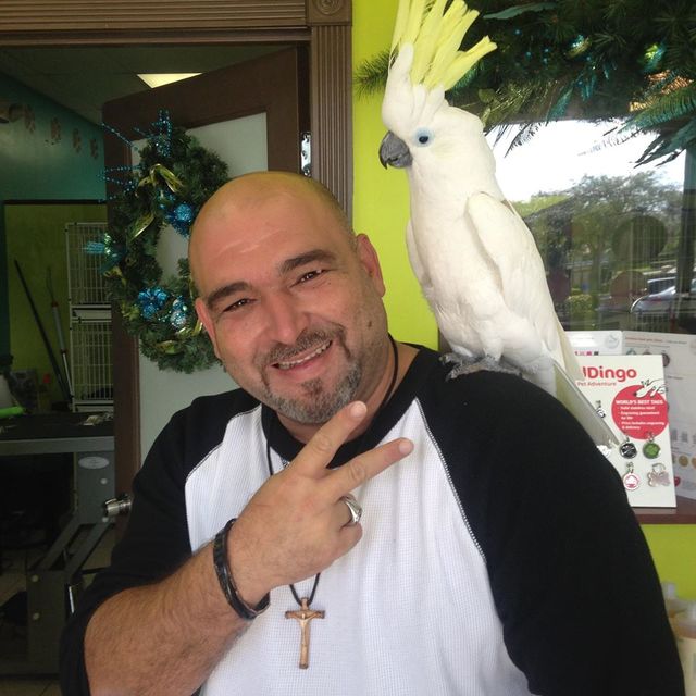 Abay bird Miami Guns INC