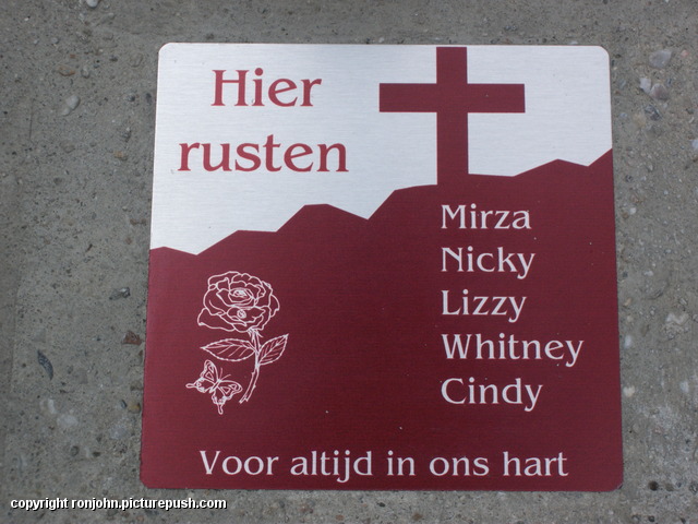 Cindy's grafje met nieuwe naamplaat 08-05-15 5 R.I.P. Mirza Nicky Lizzy Whitney Cindy