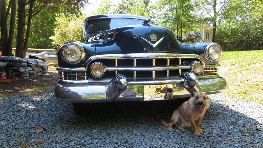 IMG 2296 - Cars