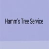 tree removal durham nc - Hamm's Tree Service