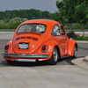 DSC 0037 - The super beetle