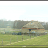 04-03-09 105-border - Ritje Texel