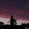 Vuurtoren van Vlieland - Natuurfoto's