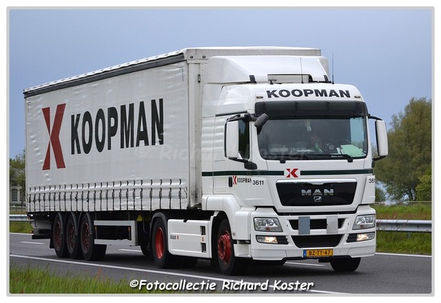 Koopman BZ-TT-47-BorderMaker Richard