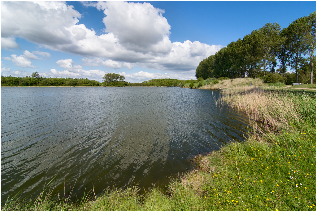  DSC0811 Langs de kreekrand - 