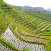  - Guangxi: het noorden (å¹¿è¥...