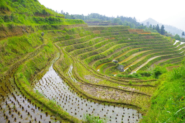  Guangxi: het noorden (å¹¿è¥¿åŒ—)