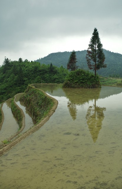  Guangxi: het noorden (å¹¿è¥¿åŒ—)