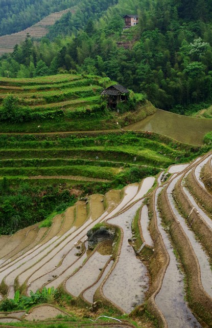  Guangxi: het noorden (å¹¿è¥¿åŒ—)