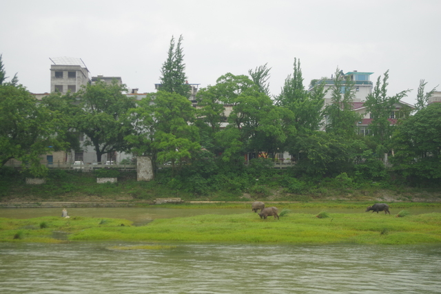  Guangxi: het noorden (å¹¿è¥¿åŒ—)