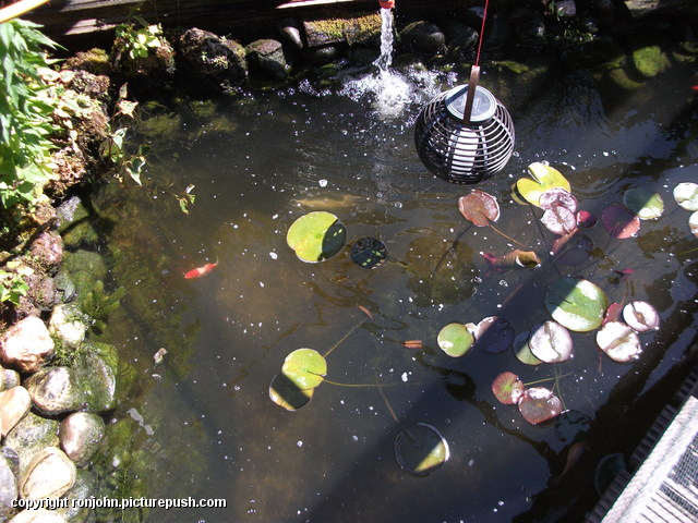 Tuin - Vijverwater verversen 09-06-15 2 In de tuin 2016