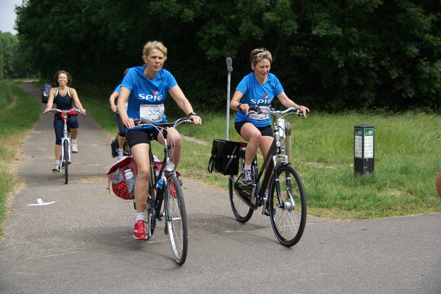 DSC07850 SPIE Rondje Voorne 14-06-2015