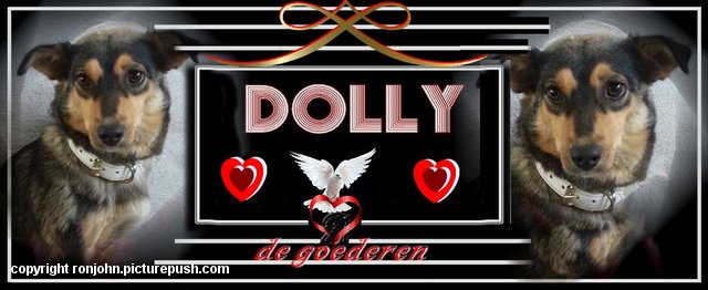 Dolly omslagfoto FB 14-06-15 De komst van Dolly uit RoemeniÃ« week 25 2015