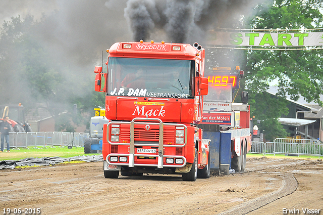 19-06-2015 Renswoude dag 1 985-BorderMaker 19-06-2015 Renswoude hobbysport