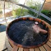 Solar Pool Heating Systems - Northern Lights Solar Solut...