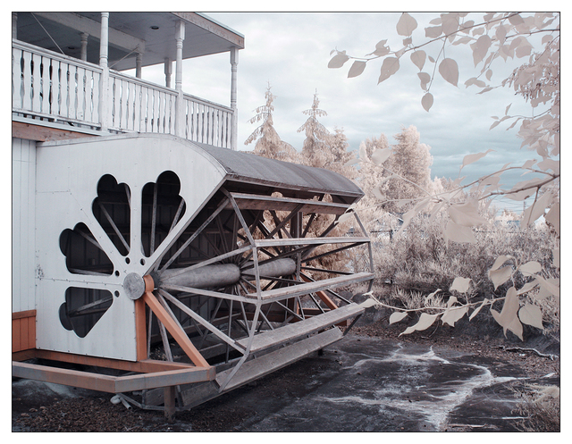 Coombs Infrared 2015 8 Infrared photography