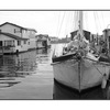 Victoria boat houses B&W - Black & White and Sepia