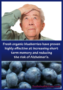 The Benefits of Blueberries: Amazing Antioxidant B Picture Box
