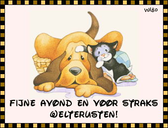 fijne avond+welterusten+hond - 
