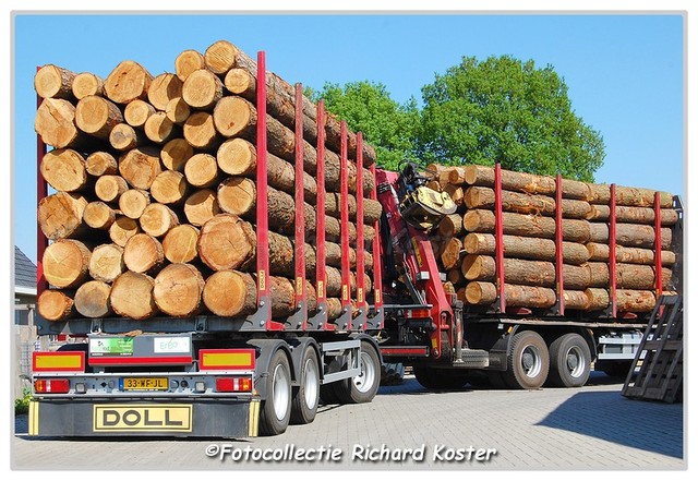 Koster hout BX-DZ-25 (7)-BorderMaker Richard