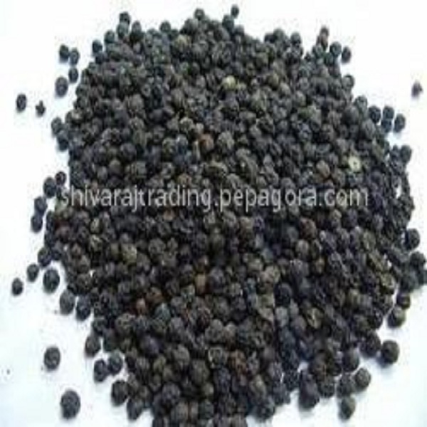 BlackPepperSeed1 Spices Manufacturers In India, Spices Seed Manufactures, Spices Seed Suppliers, Spices Seed Exports