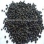 BlackPepperSeed1 - Spices Manufacturers In India, Spices Seed Manufactures, Spices Seed Suppliers, Spices Seed Exports