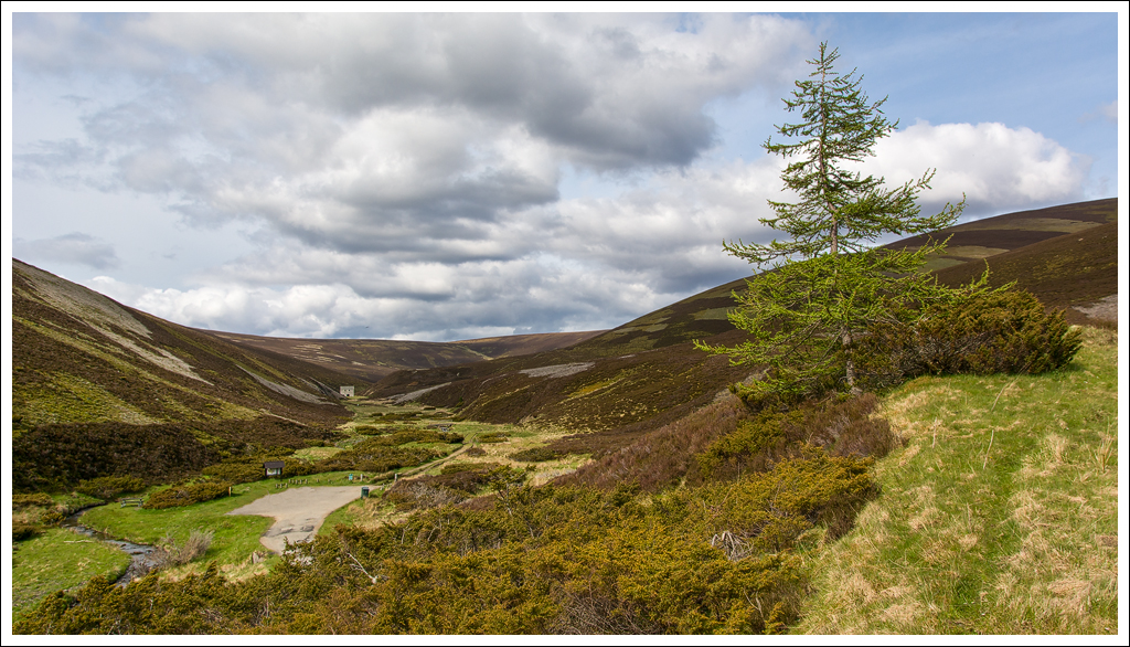  DSC1138 Cairngorms National Park 1 kader - 