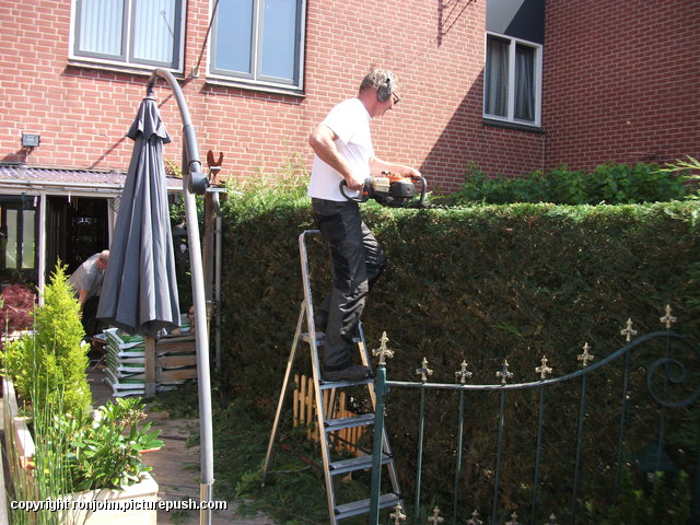 Buitenbar en plantenbakken 16-07-15 (31) De grote tuinklusdag 16-07-15