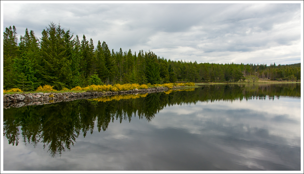  DSC1159  Pronie Loch 1002 - 