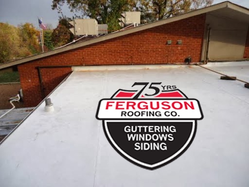Roofing Repair St Ferguson Roofing