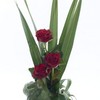 Red Roses Online - Picture Box