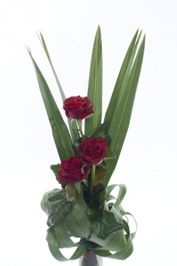 Red Roses Online Picture Box