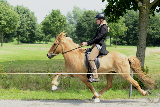  DSC9606 balingehofforum