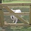 OKC Fence Company - Picture Box