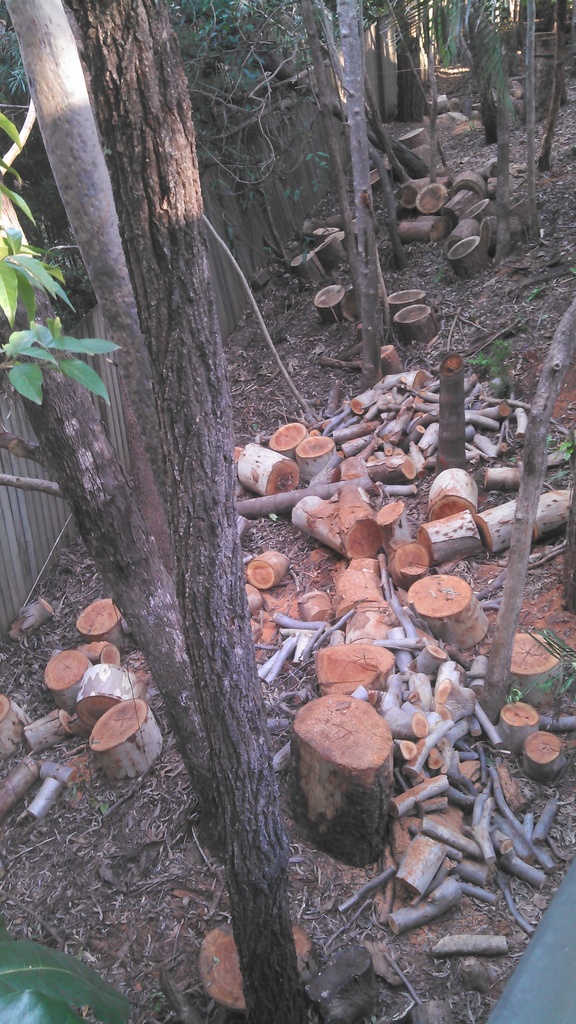 IMG 20150810 153001 144 - 