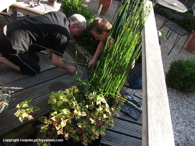 Tuin - nieuwe lantaarn 12-08-15 07 In de tuin 2016