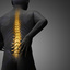 chiropractors oshkosh - Johnson Chiropractic