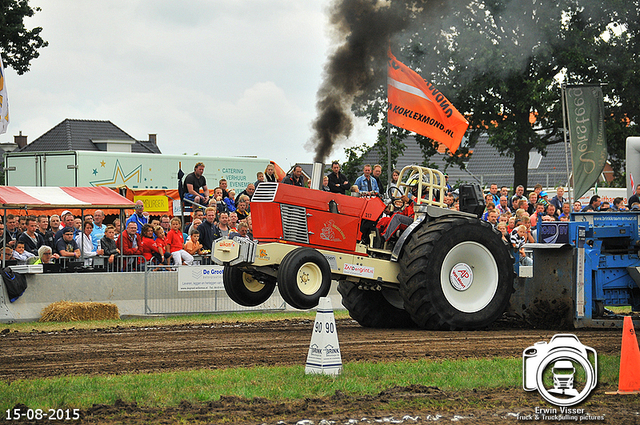 DSC 4087-BorderMaker 15-05-2015 Meerkerk