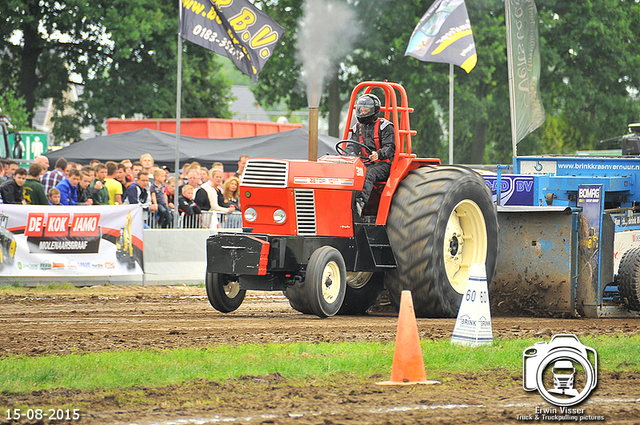 DSC 4096-BorderMaker 15-05-2015 Meerkerk