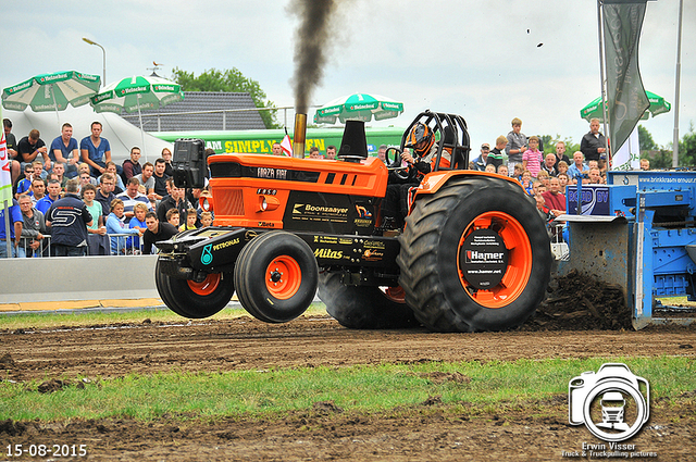 DSC 4119-BorderMaker 15-05-2015 Meerkerk