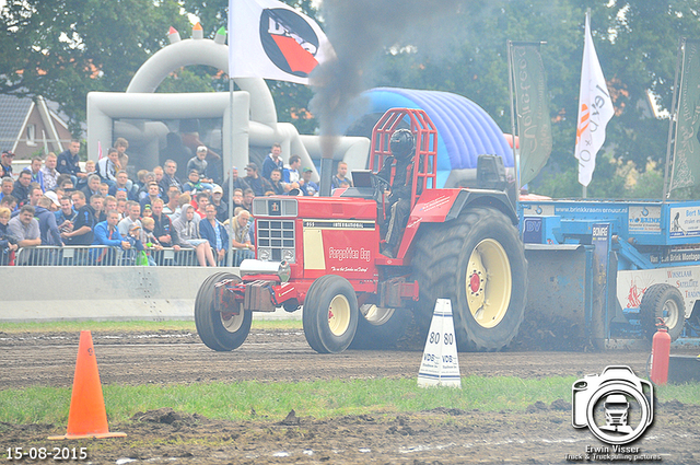 DSC 4317-BorderMaker 15-05-2015 Meerkerk